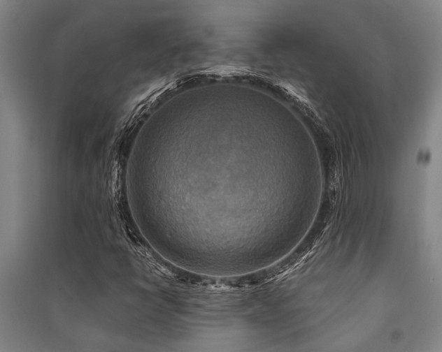 X0000091481398200708161409