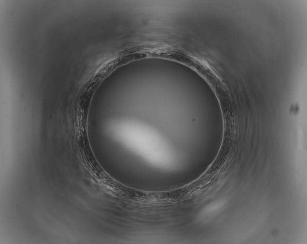 X0000091481399200708161409