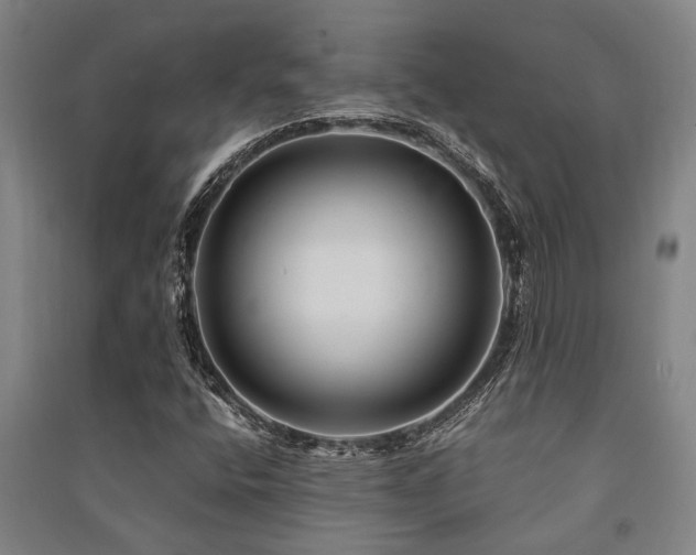 X0000091481400200708161409