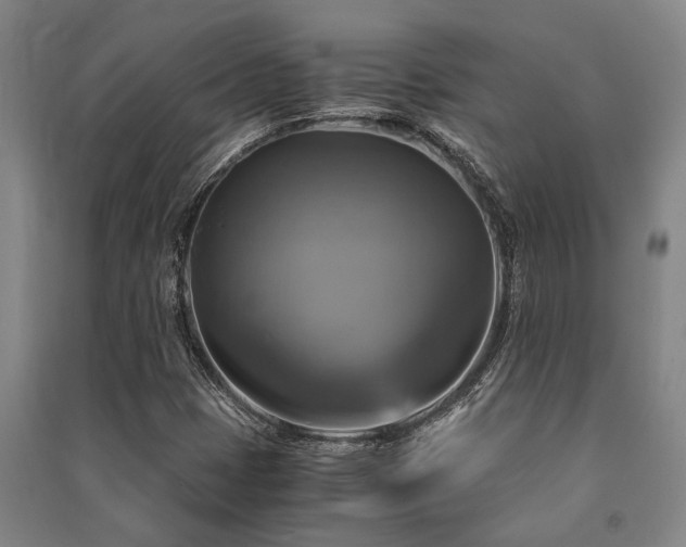 X0000091481401200708161409