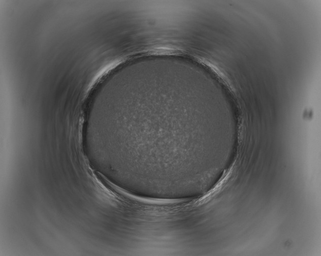 X0000091481402200708161409
