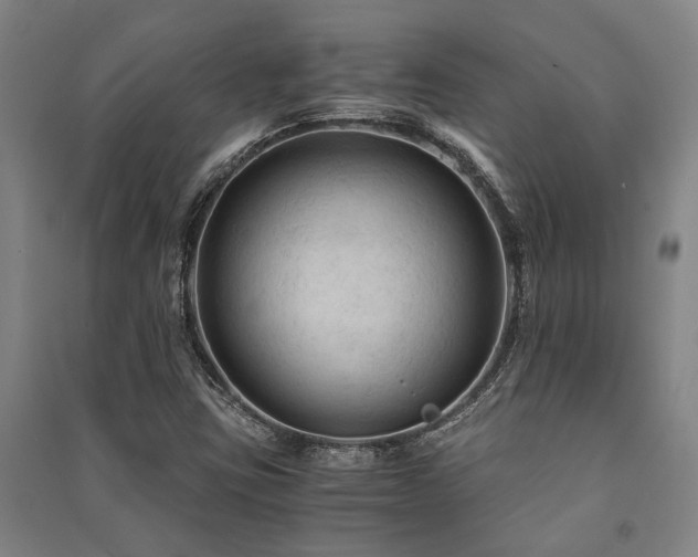 X0000091481403200708161409