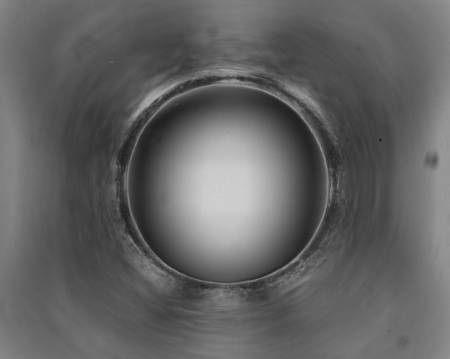 X0000091481404200708161409