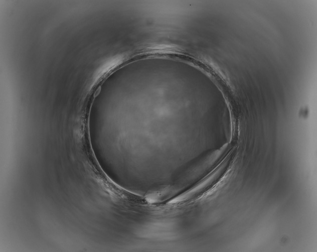 X0000091481405200708161409