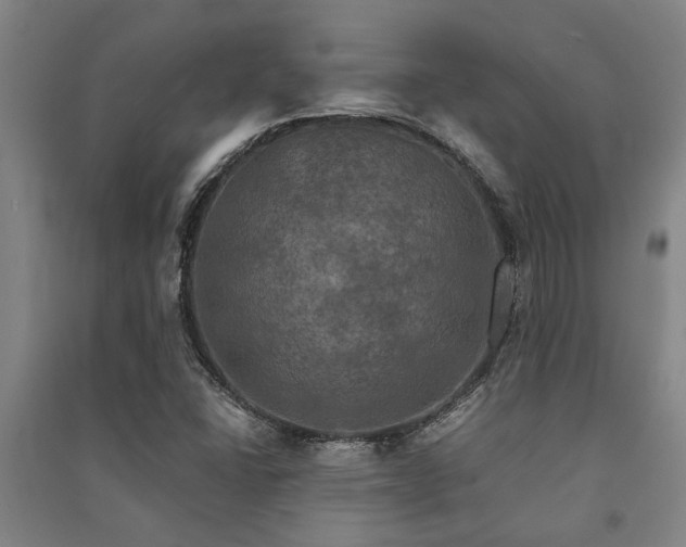X0000091481406200708161410