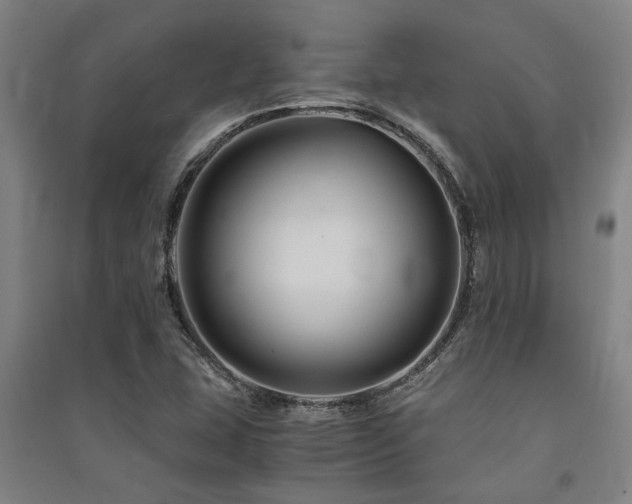 X0000091481407200708161410