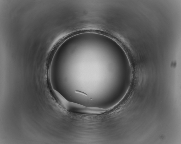 X0000091481408200708161410