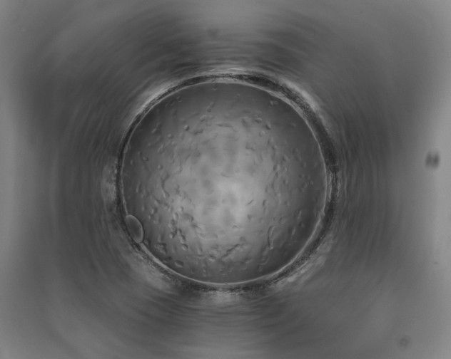 X0000091481409200708161410