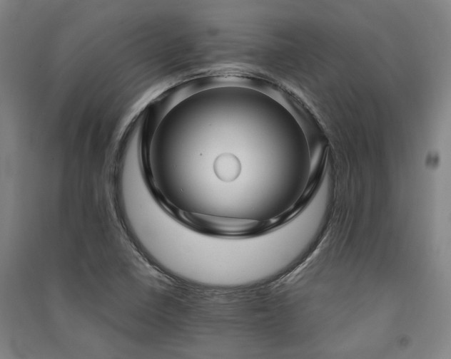 X0000091481410200708161410