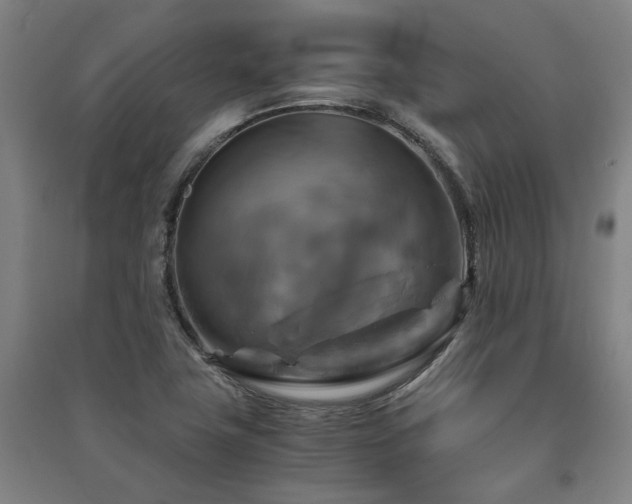 X0000091481411200708161410