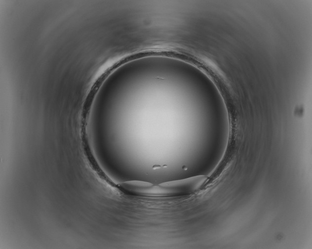X0000091481412200708161410