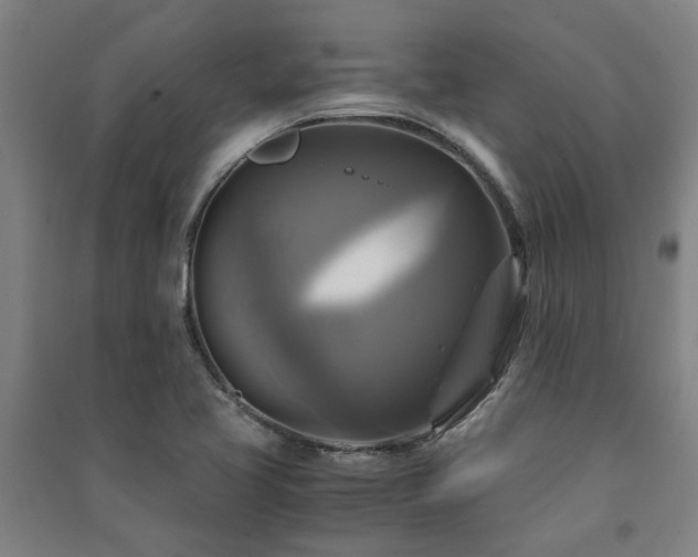 X0000091481413200708161410