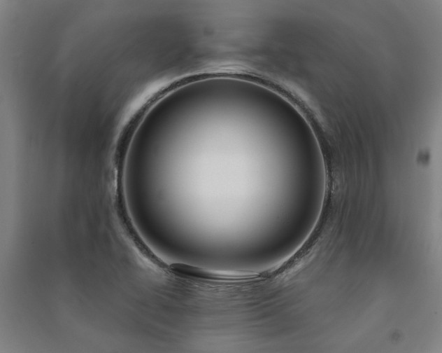 X0000091481414200708161410