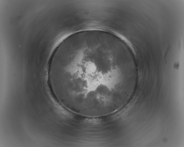 X0000091481415200708161410
