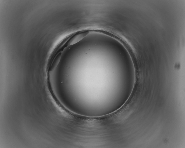 X0000091481416200708161410
