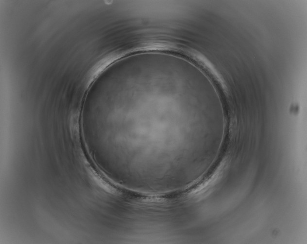 X0000091481417200708161410
