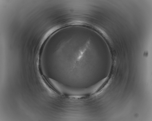 X0000091481418200708161410