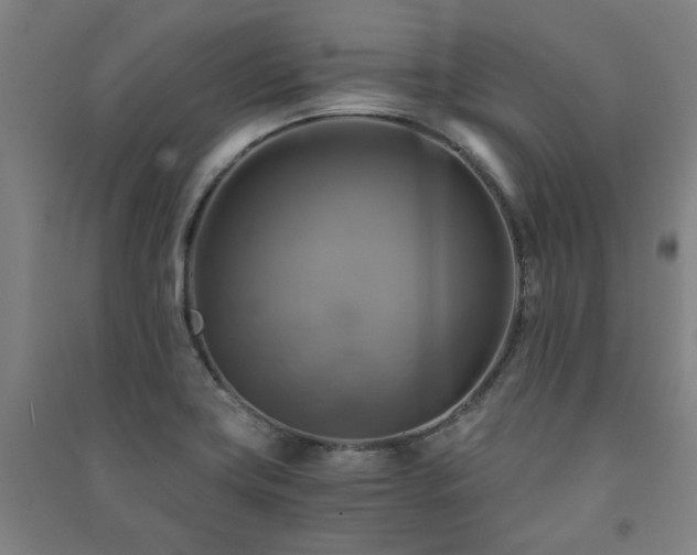 X0000091481419200708161410