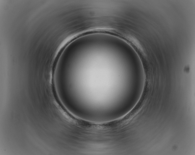 X0000091481420200708161410