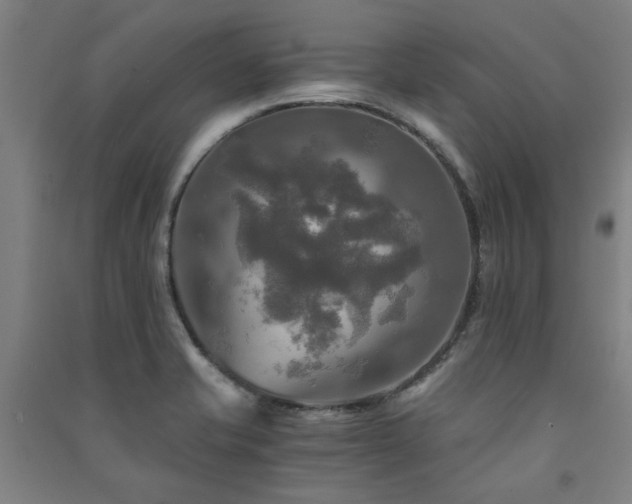 X0000091481421200708161410