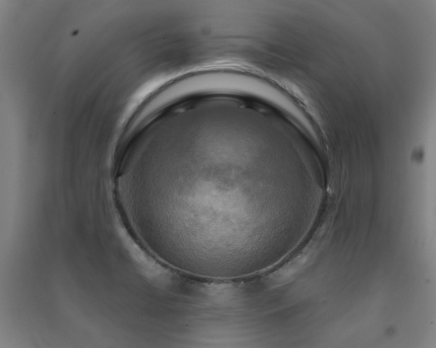 X0000091481422200708161410