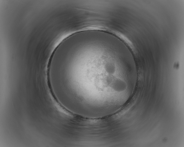 X0000091481423200708161410