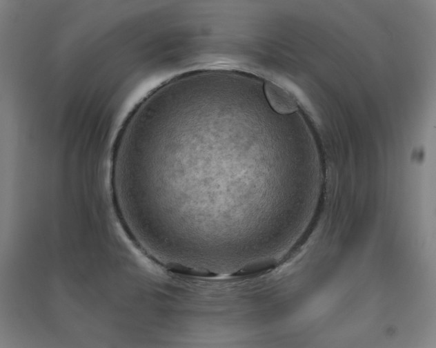 X0000091481424200708161410