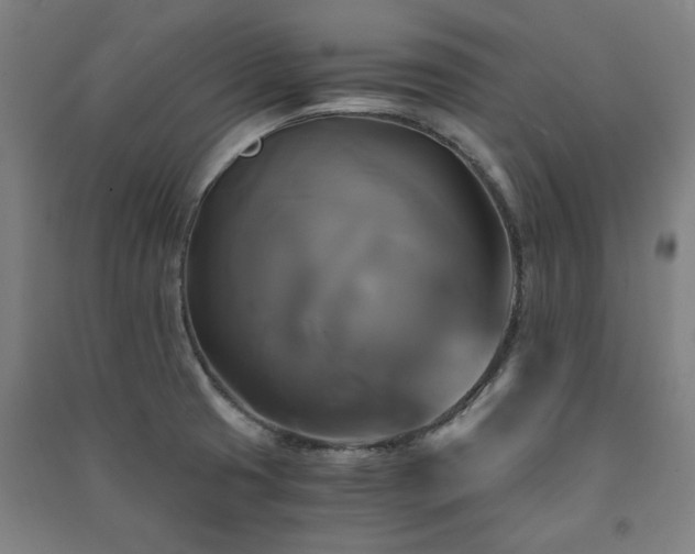 X0000091481425200708161410