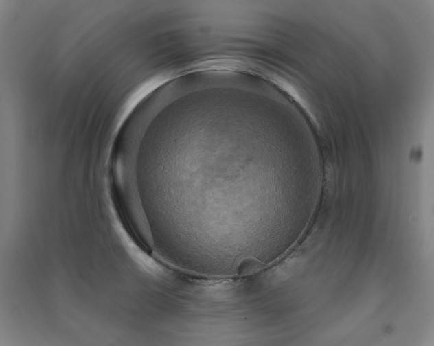 X0000091481426200708161410