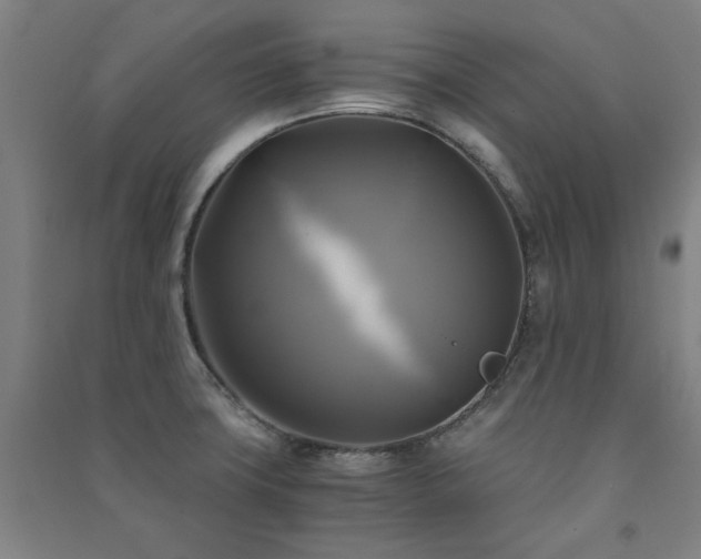 X0000091481427200708161410