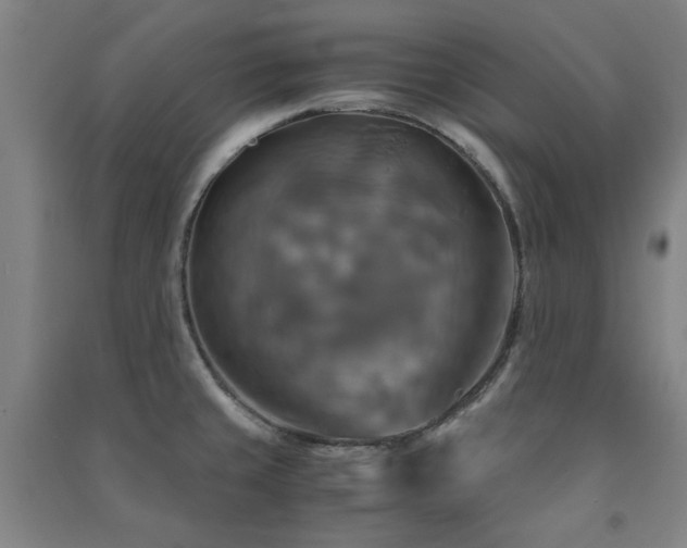 X0000091481429200708161410