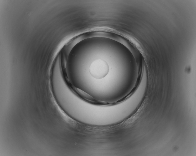 X0000091481430200708161410