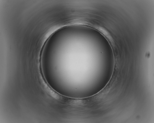 X0000091481431200708161410