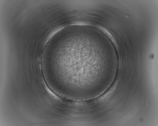 X0000091481433200708161410