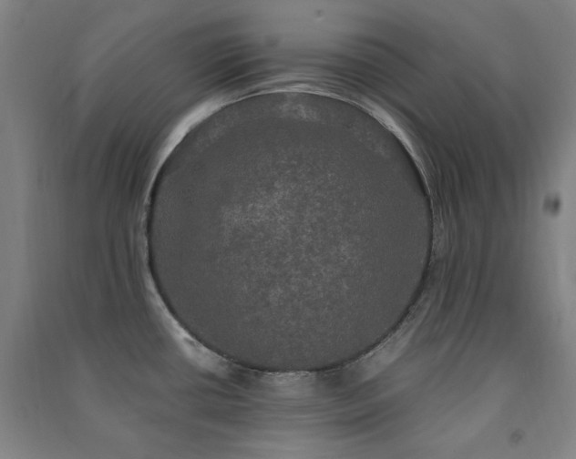 X0000091481434200708161410