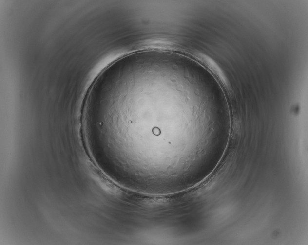 X0000091481435200708161410