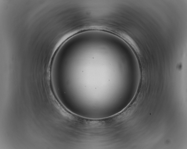 X0000091481436200708161410