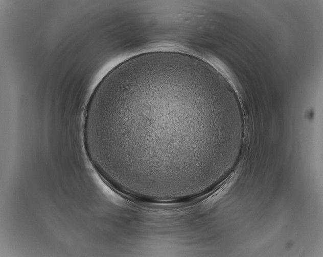X0000091481438200708161410