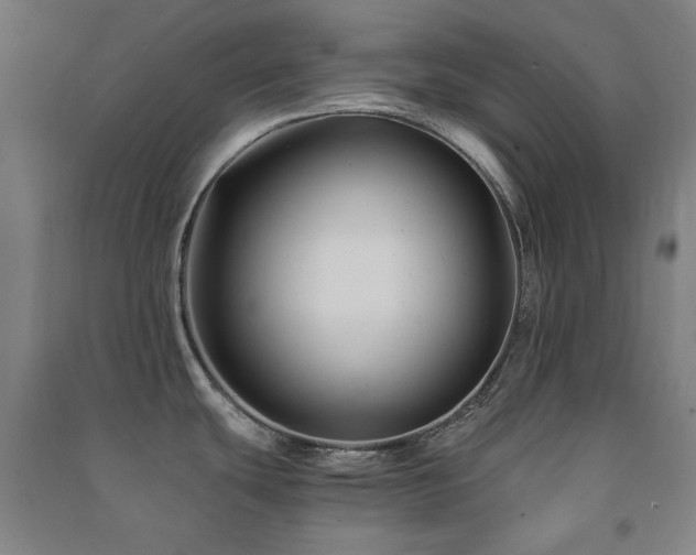 X0000091481439200708161410