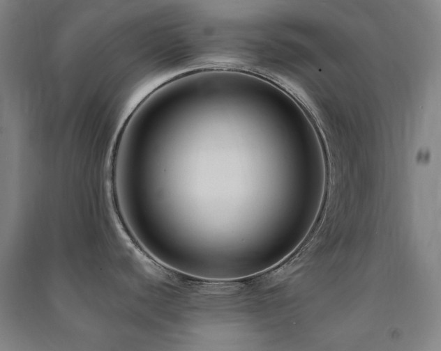 X0000091481440200708161410