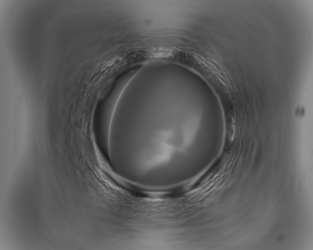 X0000091481441200708161409