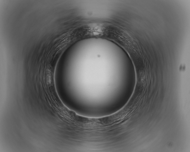 X0000091481442200708161409
