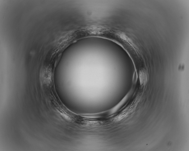 X0000091481444200708161409
