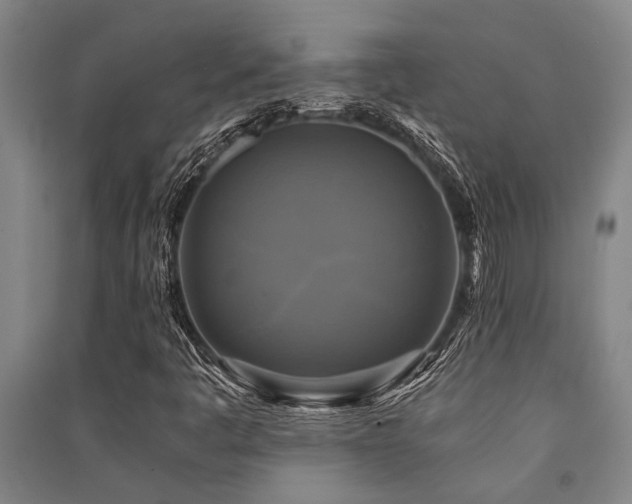 X0000091481445200708161409