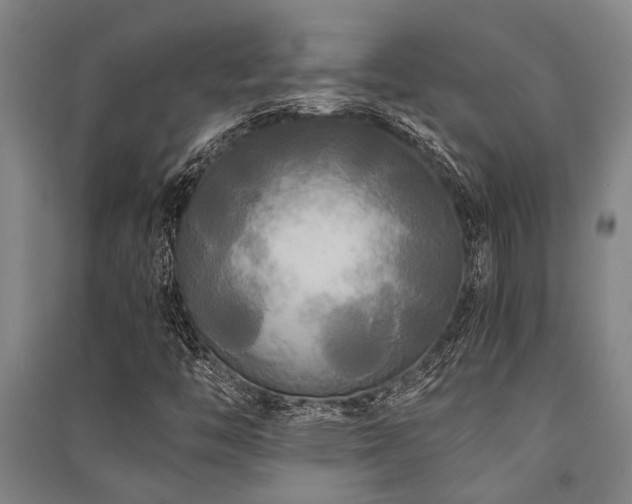 X0000091481446200708161409