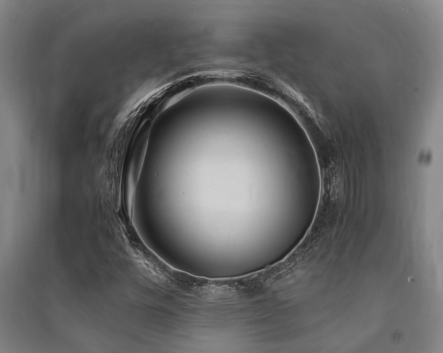 X0000091481448200708161409