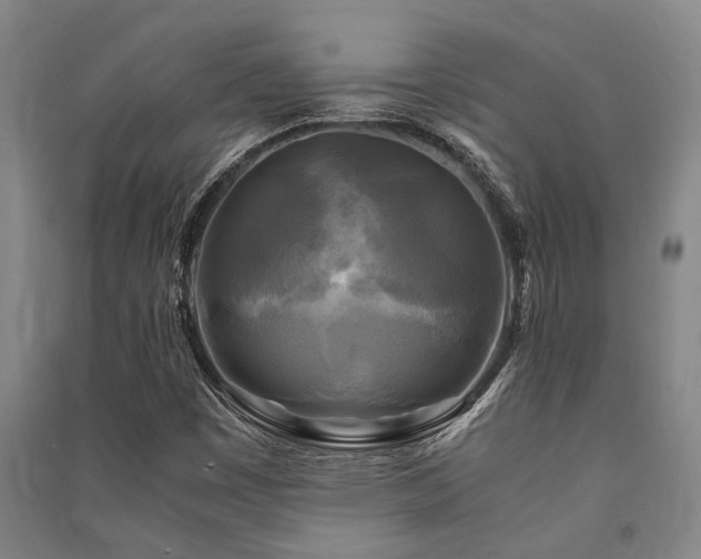 X0000091481449200708161409