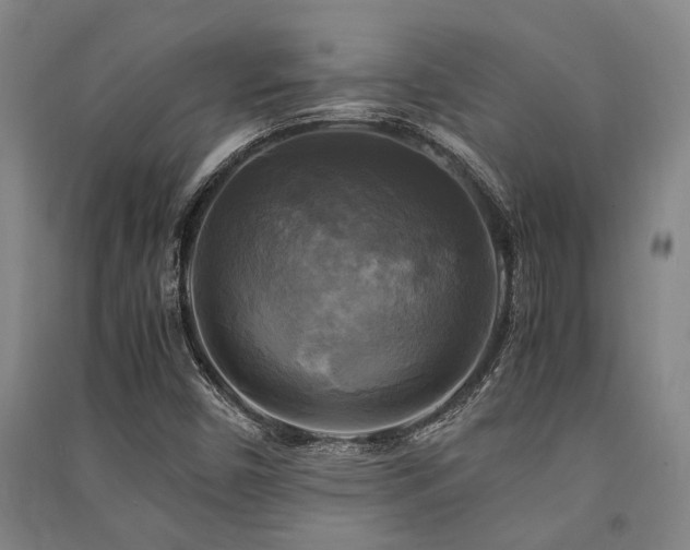 X0000091481450200708161409