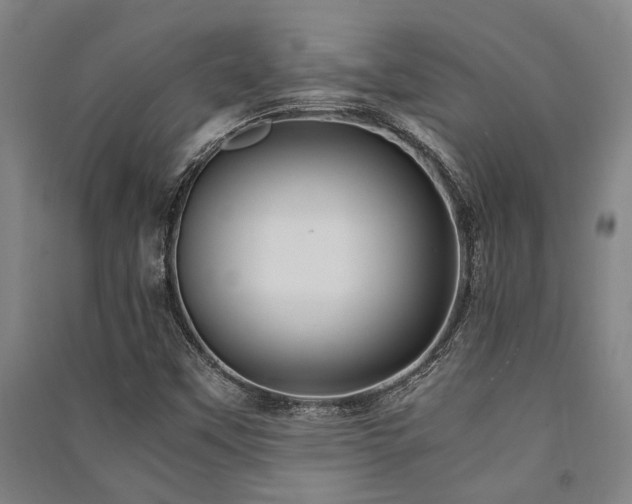 X0000091481451200708161409