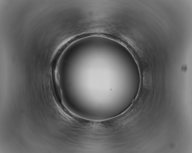 X0000091481452200708161409